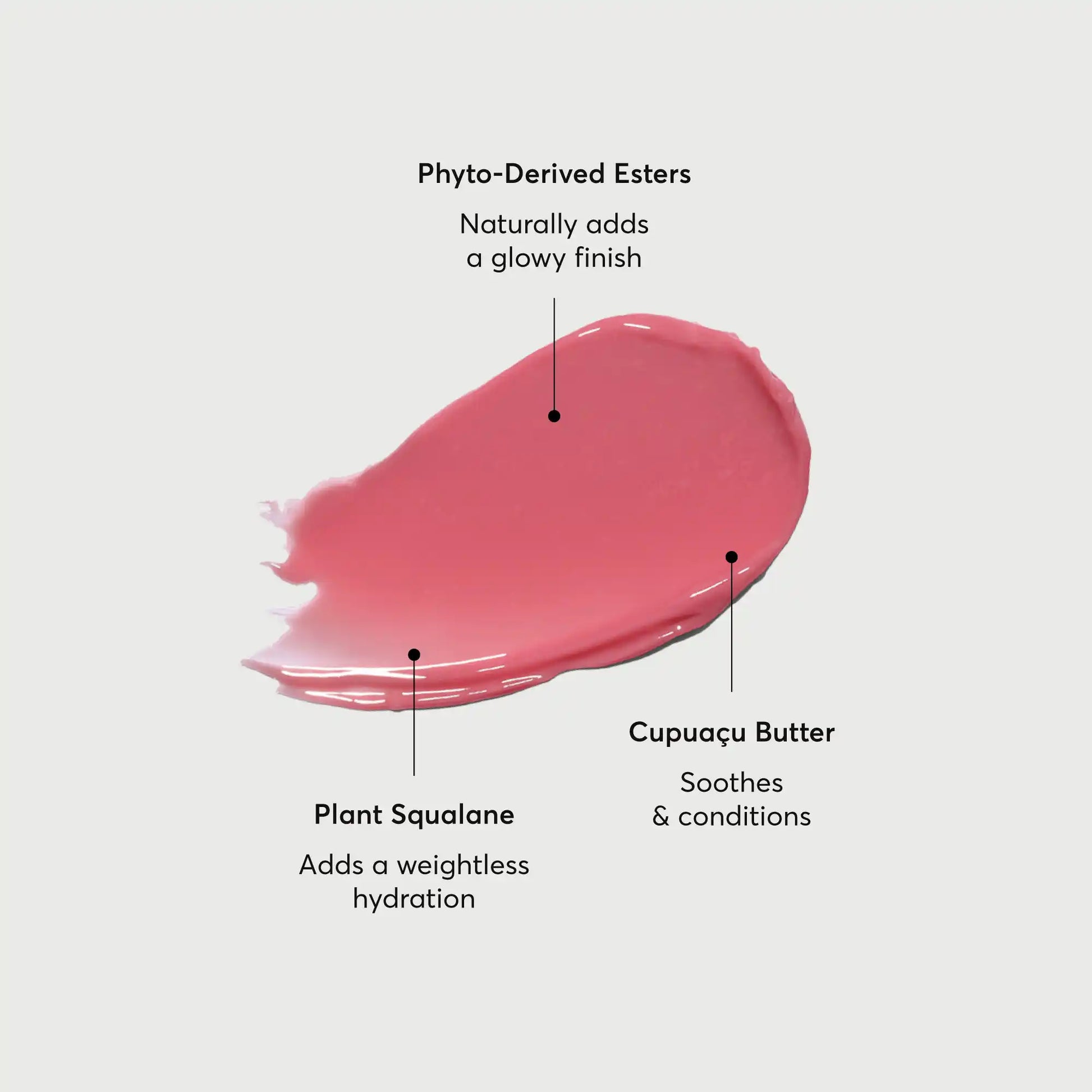 phyto-glow-lip-balm-petal-t1 NATR-60067-Alt-Images-Phyto-Glow-Lip-Balm-Petal-01.webp